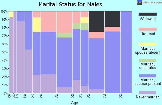 Caseyville marital status for males