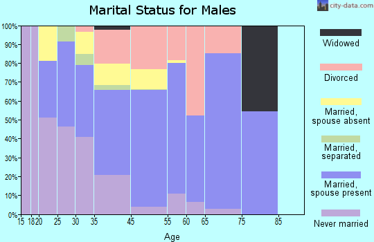 Big Lake marital status for males