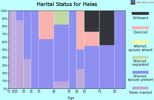 Cave-In-Rock marital status for males
