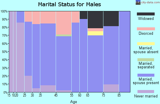 Cerro Gordo marital status for males