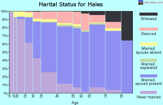 Champaign marital status for males