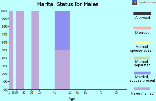 Birch Creek marital status for males
