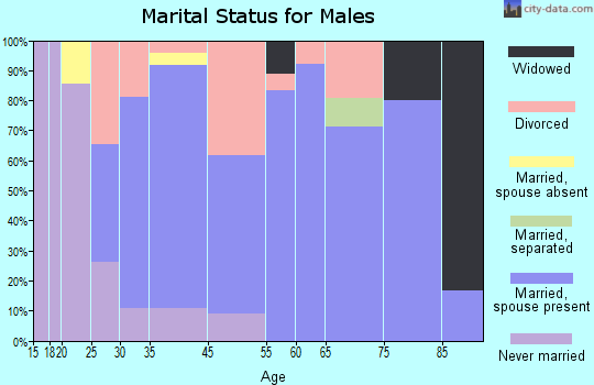 Chandlerville marital status for males
