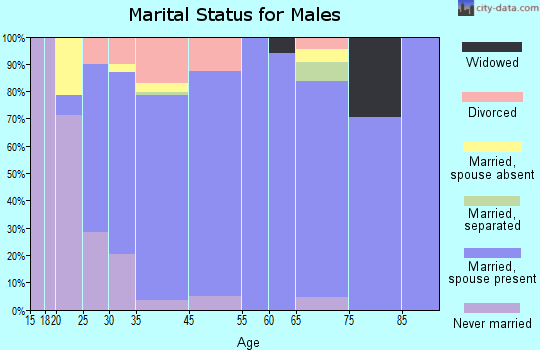 Chebanse marital status for males