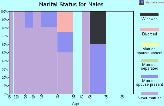 Brevig Mission marital status for males