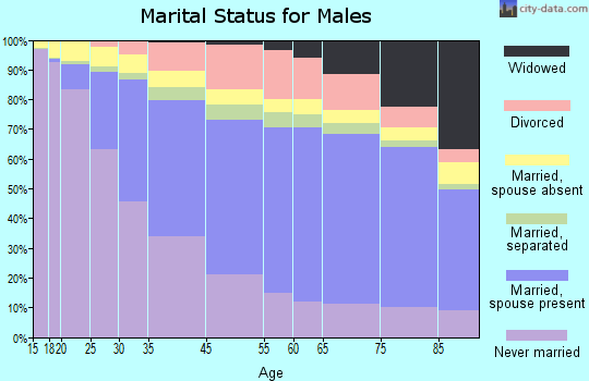 Chicago marital status for males