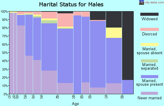 Chicago Ridge marital status for males