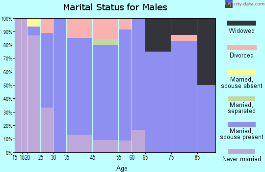 Cissna Park marital status for males