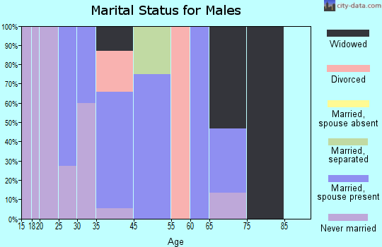 Clear Lake marital status for males