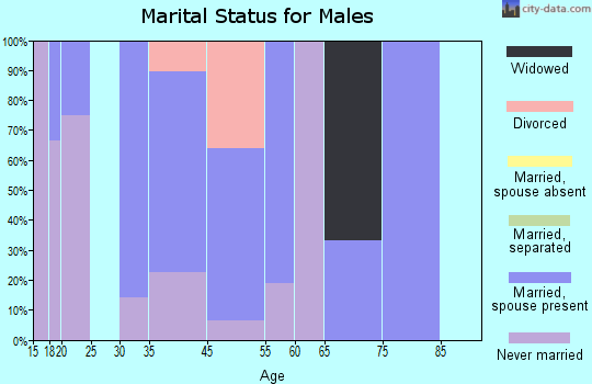 Buffalo Soapstone marital status for males
