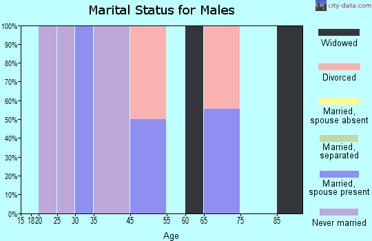 Chalkyitsik marital status for males