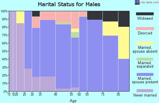 Dallas City marital status for males
