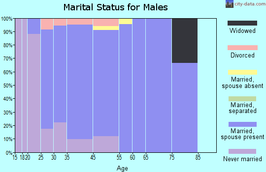 Dalton City marital status for males