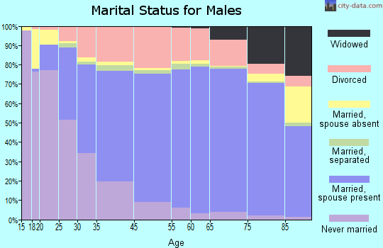 Decatur marital status for males