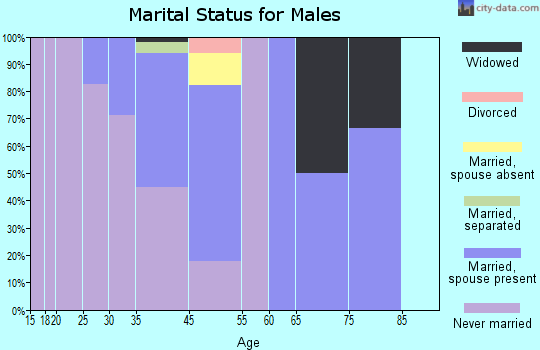 Chevak marital status for males