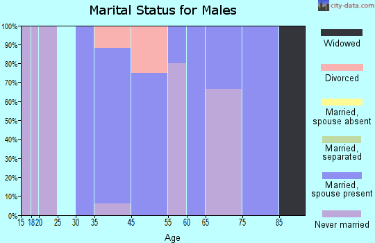 Dover marital status for males