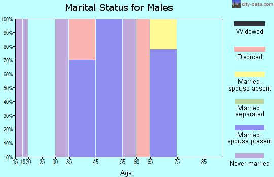 Chignik marital status for males
