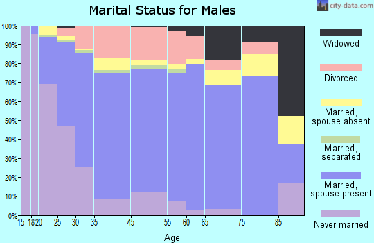 Effingham marital status for males