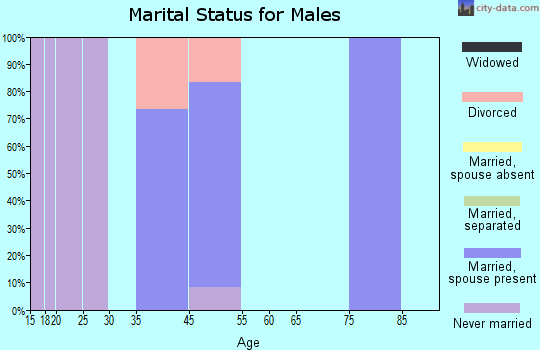 Chignik Lagoon marital status for males
