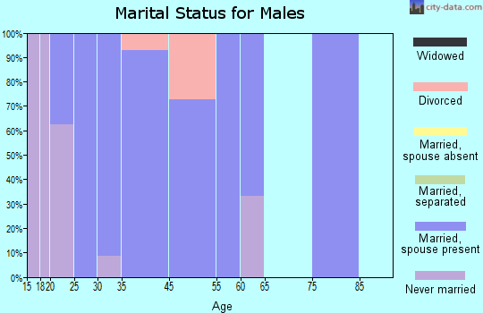 Ellsworth marital status for males