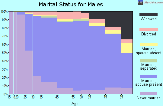 Elmhurst marital status for males