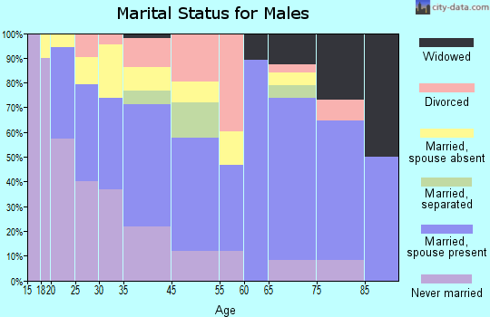 Fairmont City marital status for males