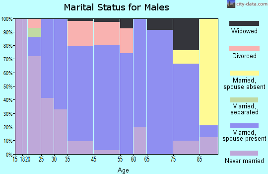 Farmington marital status for males