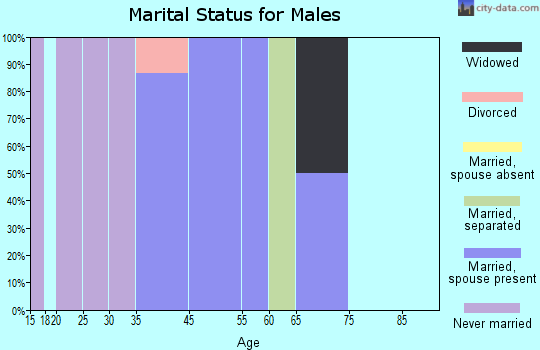 Chistochina marital status for males