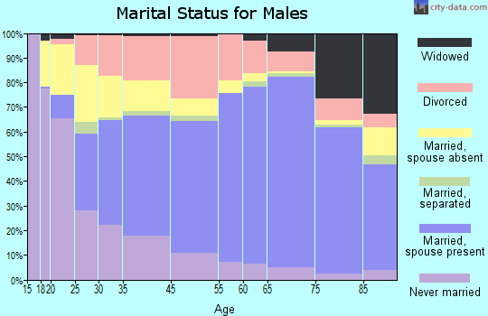 Galesburg marital status for males