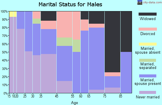 Brighton marital status for males