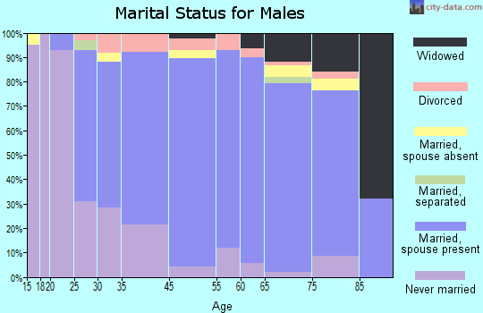 Geneseo marital status for males