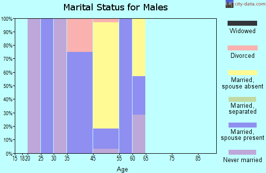 Cold Bay marital status for males