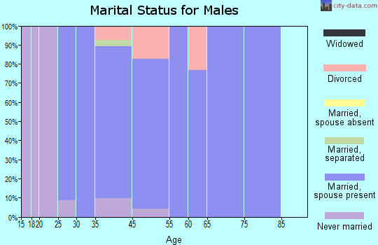 Hainesville marital status for males