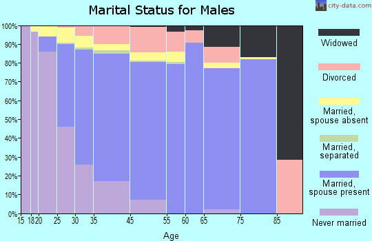 Hanover Park marital status for males