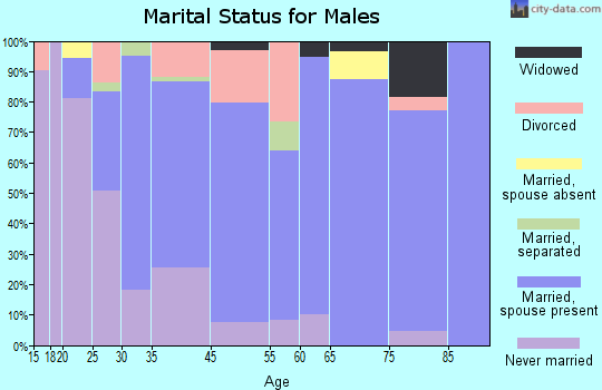 Havana marital status for males