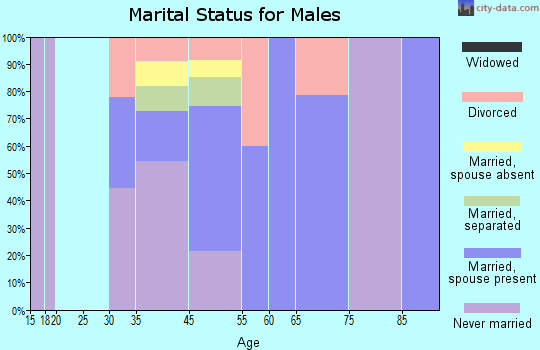 Copper Center marital status for males