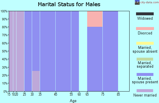 Hillview marital status for males