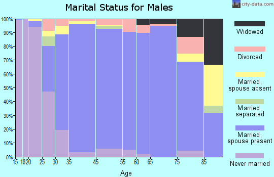 Hinsdale marital status for males