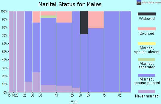 Holiday Hills marital status for males
