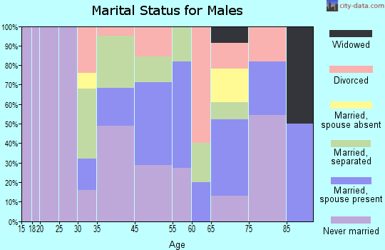Hopkins Park marital status for males