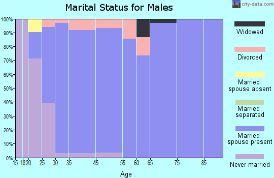 Hudson marital status for males