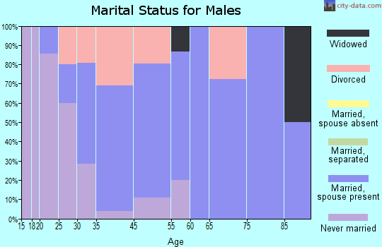 Hutsonville marital status for males