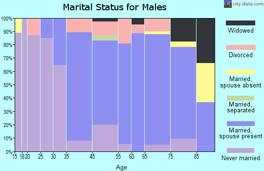 Indian Head Park marital status for males