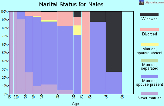 Island Lake marital status for males
