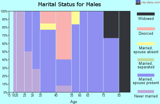 Ivesdale marital status for males
