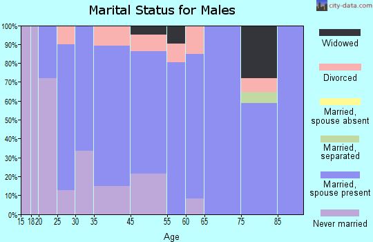 Johnston City marital status for males