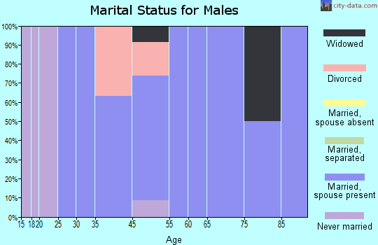 Kinderhook marital status for males
