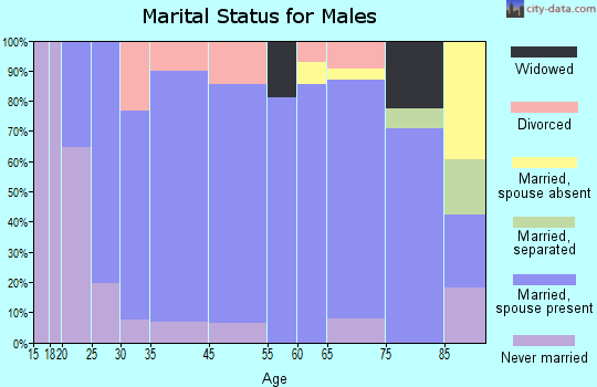 Knoxville marital status for males