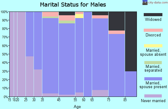 Lake Bluff marital status for males