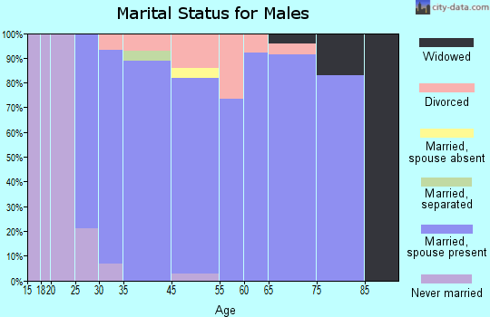 Lake Summerset marital status for males